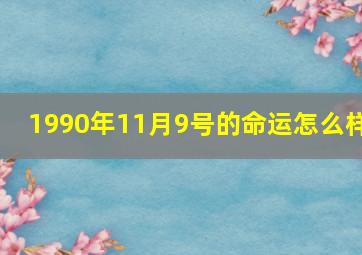 1990年11月9号的命运怎么样