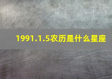 1991.1.5农历是什么星座