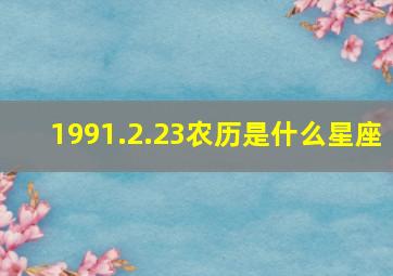 1991.2.23农历是什么星座