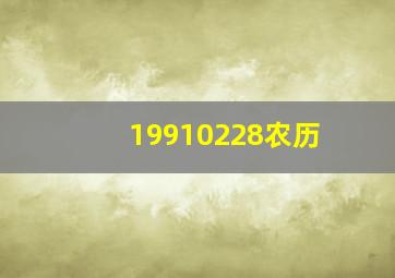 19910228农历