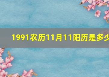 1991农历11月11阳历是多少