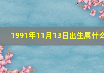 1991年11月13日出生属什么