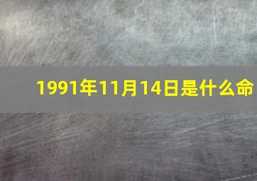 1991年11月14日是什么命