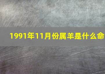 1991年11月份属羊是什么命