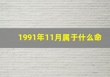 1991年11月属于什么命