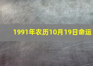 1991年农历10月19日命运