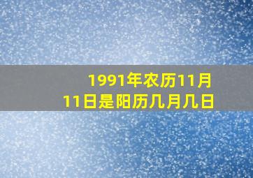 1991年农历11月11日是阳历几月几日