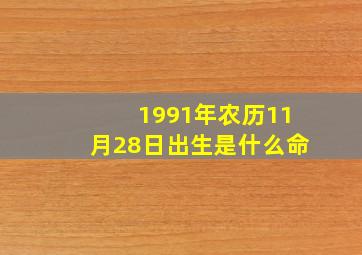 1991年农历11月28日出生是什么命