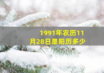 1991年农历11月28日是阳历多少