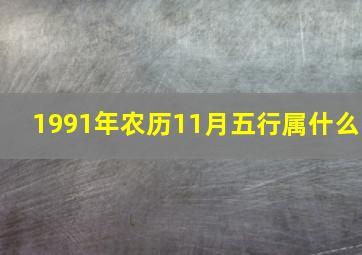 1991年农历11月五行属什么