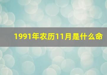 1991年农历11月是什么命