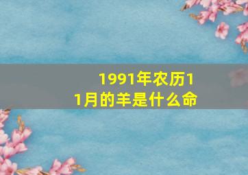 1991年农历11月的羊是什么命