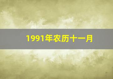 1991年农历十一月