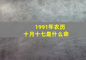 1991年农历十月十七是什么命