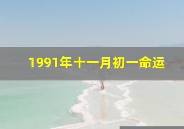 1991年十一月初一命运