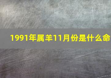 1991年属羊11月份是什么命