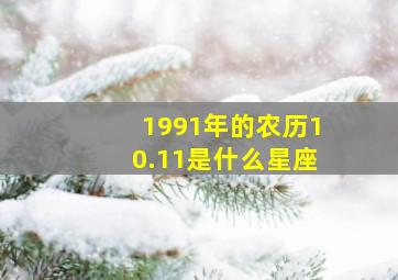 1991年的农历10.11是什么星座