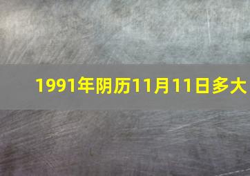 1991年阴历11月11日多大