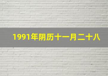 1991年阴历十一月二十八