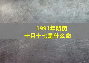 1991年阴历十月十七是什么命