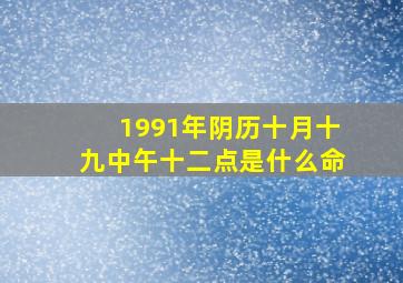 1991年阴历十月十九中午十二点是什么命