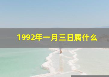 1992年一月三日属什么