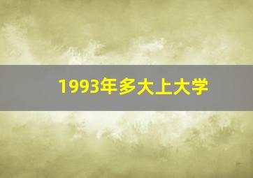 1993年多大上大学