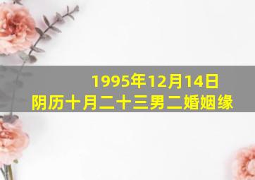 1995年12月14日阴历十月二十三男二婚姻缘