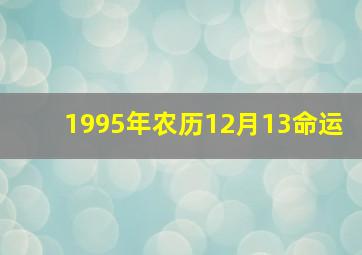 1995年农历12月13命运