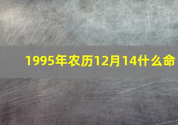 1995年农历12月14什么命