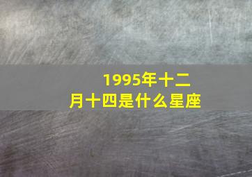 1995年十二月十四是什么星座