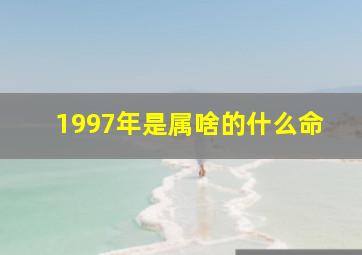 1997年是属啥的什么命