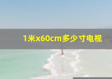 1米x60cm多少寸电视