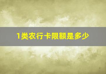 1类农行卡限额是多少