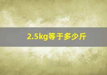 2.5kg等于多少斤