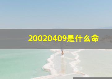 20020409是什么命