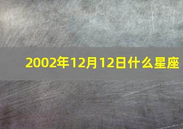 2002年12月12日什么星座