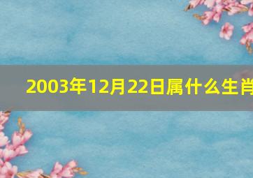 2003年12月22日属什么生肖