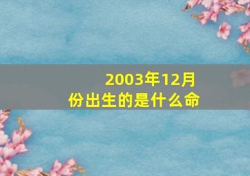 2003年12月份出生的是什么命