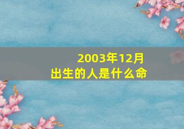 2003年12月出生的人是什么命