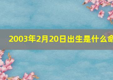 2003年2月20日出生是什么命