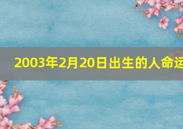 2003年2月20日出生的人命运