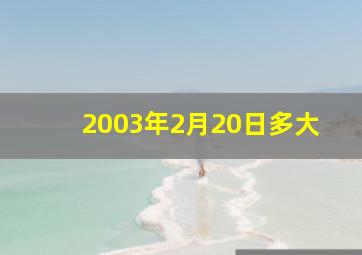 2003年2月20日多大