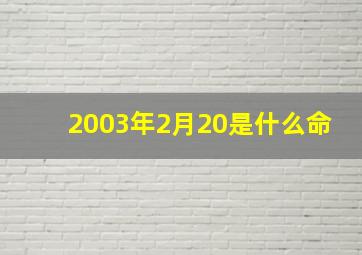 2003年2月20是什么命