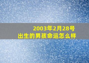 2003年2月28号出生的男孩命运怎么样