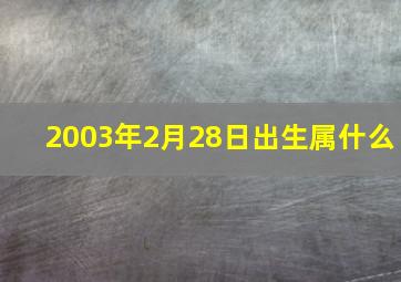 2003年2月28日出生属什么