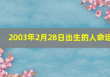 2003年2月28日出生的人命运