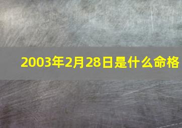 2003年2月28日是什么命格