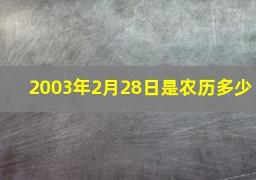 2003年2月28日是农历多少