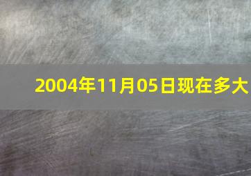 2004年11月05日现在多大